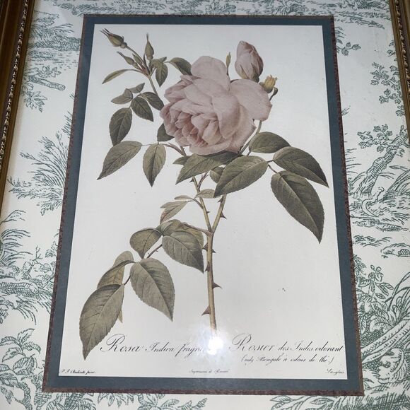 Framed Redouté Dual Still Watercolor Rose Artwork Print - Width 9” x Height 21” - Picture 4 of 6